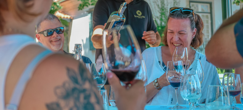Private Douro Valley Full Day Wine Tour