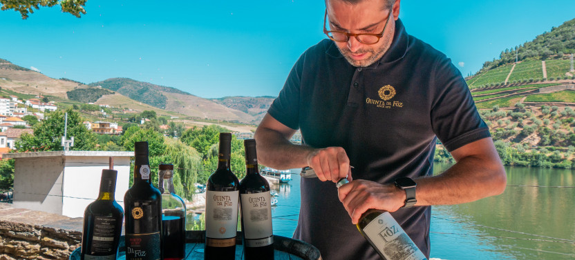 Private Douro Valley Full Day Wine Tour