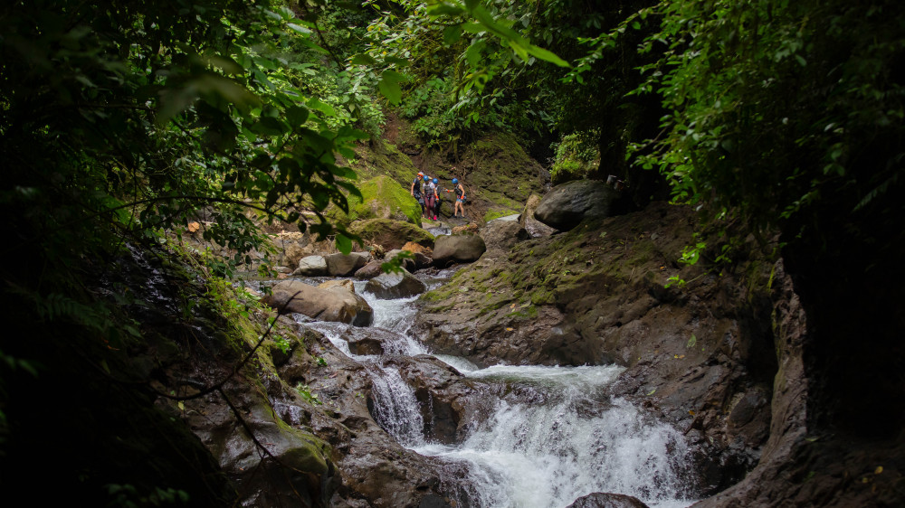 Rainforest Falls: Rappelling, Swimming & More