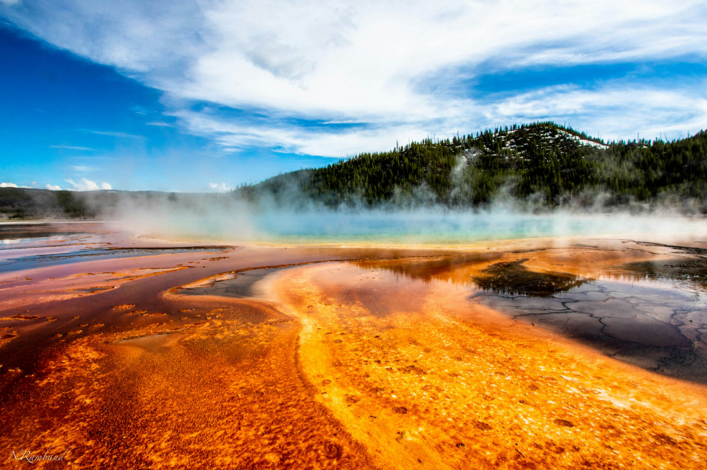 Iconic Wildlife of Yellowstone & Grand Teton (7 Days)