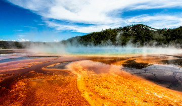 A picture of Iconic Wildlife of Yellowstone & Grand Teton (7 Days)