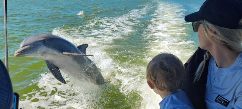 From Naples: 10,000 Islands Boat Trip & Everglades Walk with a Naturalist