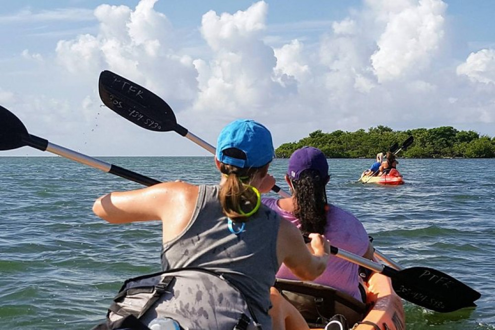 Florida Keys Marine Eco Adventure~Kayak + Snorkel