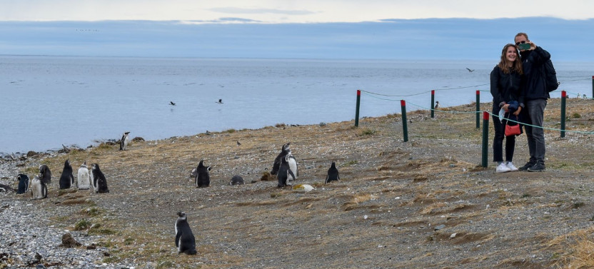 Magdalena Island Penguin Tour by Boat from Punta Arenas
