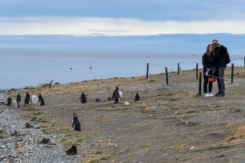 Magdalena Island Penguin Tour by Boat from Punta Arenas