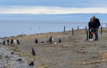 Gray Line Chile1