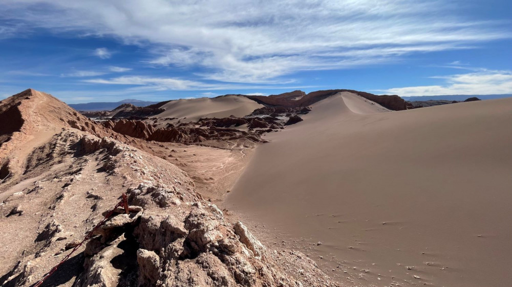 Gray Line Chile