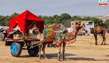 A picture of Private Tour: 8 Day Golden Triangle Tour with Ajmer and Pushkar