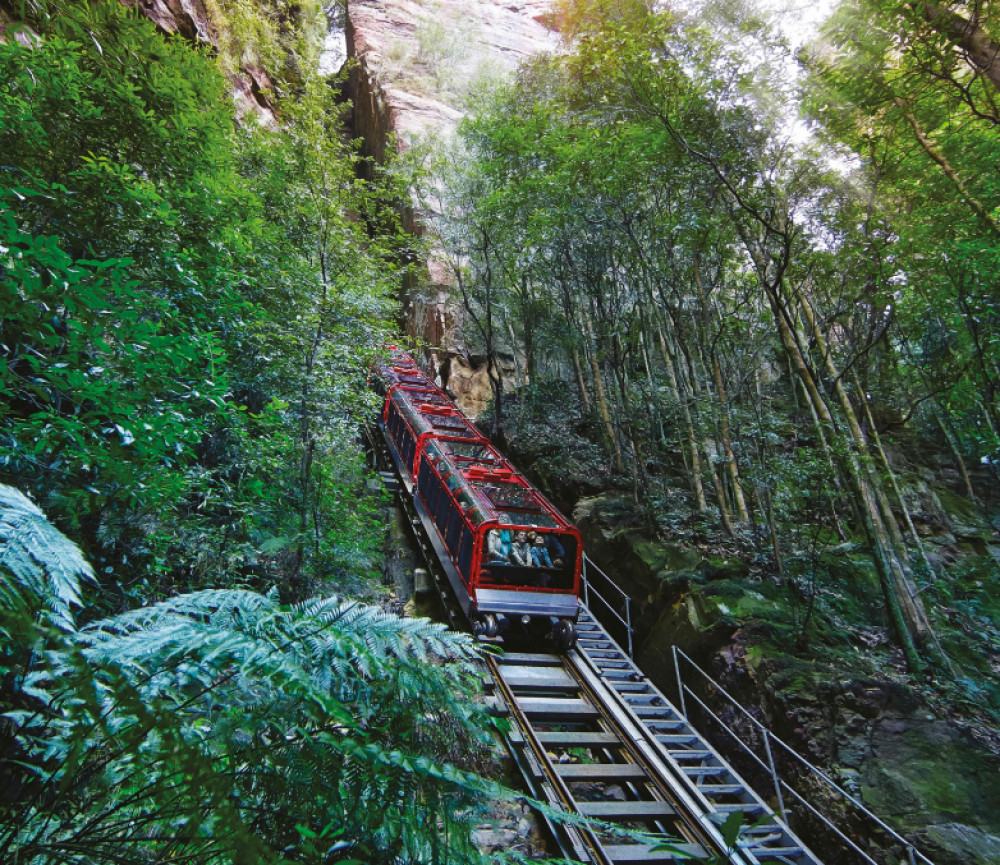 Blue Mountains Adventure: Scenic World, Ferry, Sydney Zoo & More!