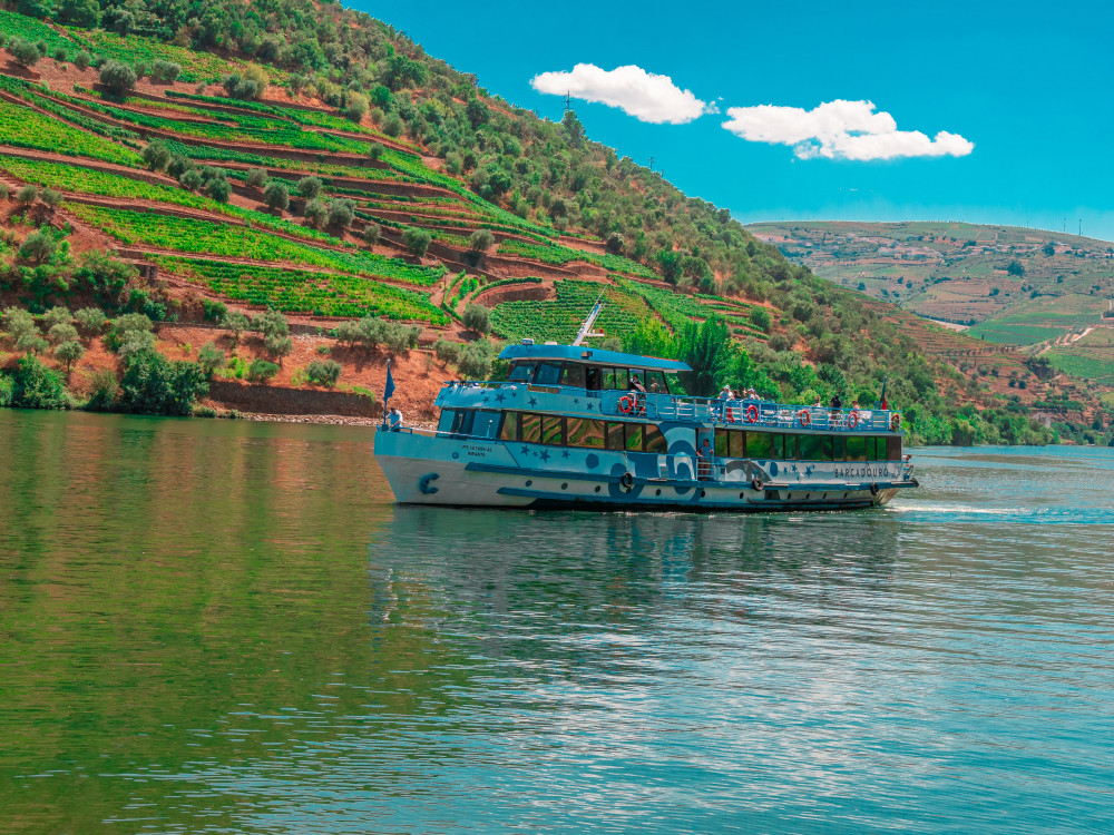 Douro River: Downstream Cruise from Regua Weekdays