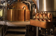 Bohemian Alternative Tours3