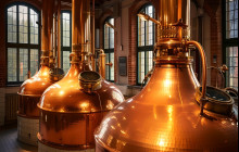 Bohemian Alternative Tours1