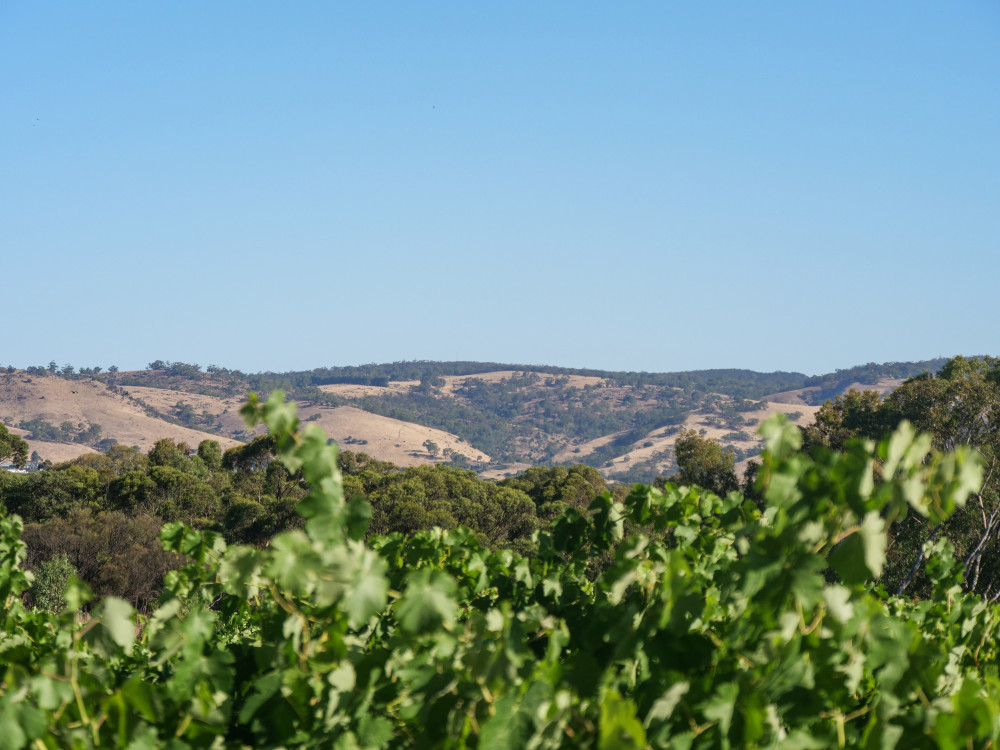 2 Day Barossa All-in Tour Package