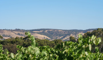 A picture of 2 Day Barossa All-in Tour Package