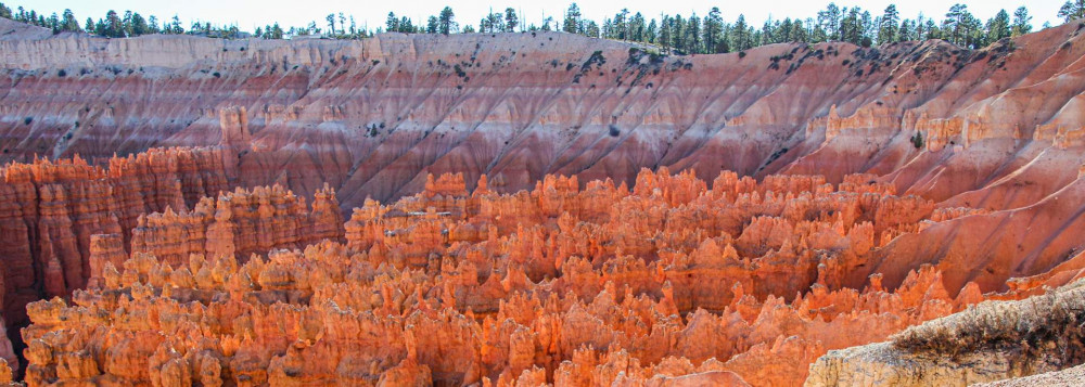 1 Day Bryce Canyon Tour