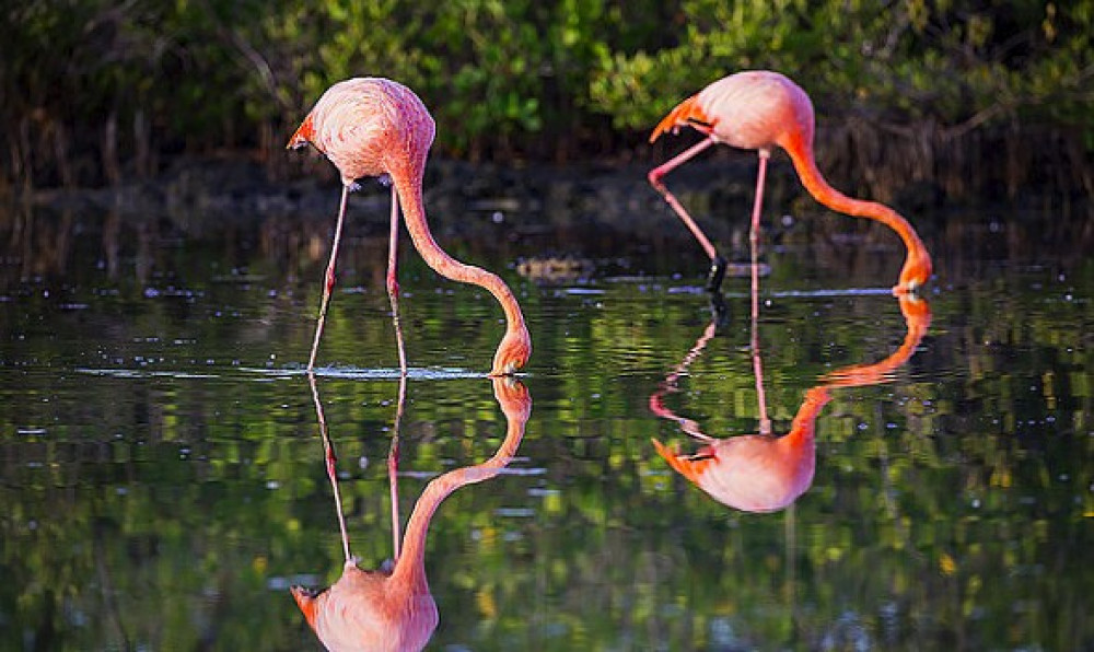 Responsible Travel Sa