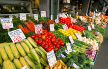 See Sight Tours - Canada152