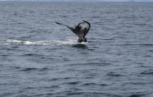 See Sight Tours - Canada245