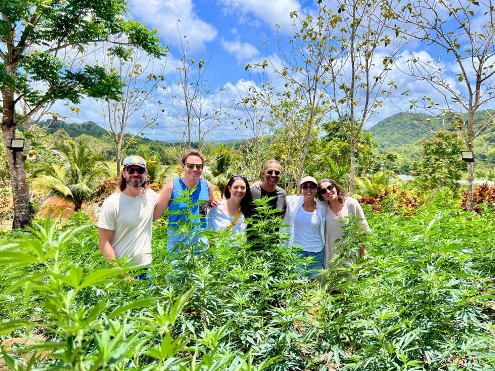 Jamaican Cannabis Farm Tour + Lunch from Ocho Rios