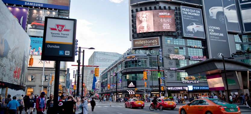 Best of Toronto Tour (Morning)