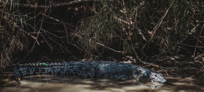 Kakadu National Park Day Tour