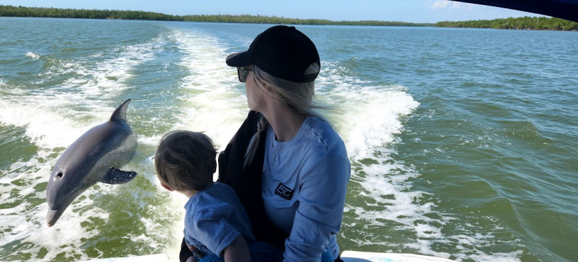 Full Day: Dry Hike & Everglades Adventure by an Experienced Naturalist