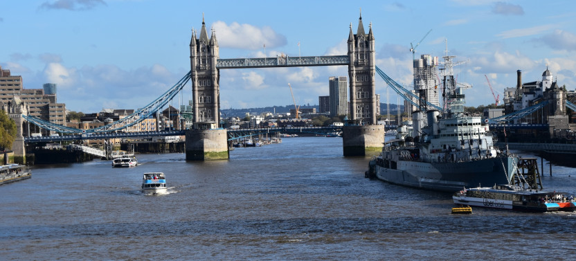 2.5-Hour Private Sightseeing Taxi Tour of London