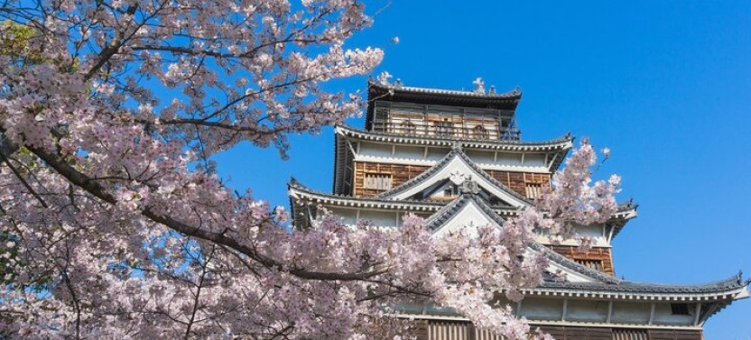 Private Hiroshima Cherry Blossom And Sakura Experience