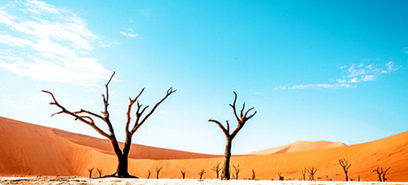 7-Day Namibia Desert, Swakopmund with Etosha National Park Camping