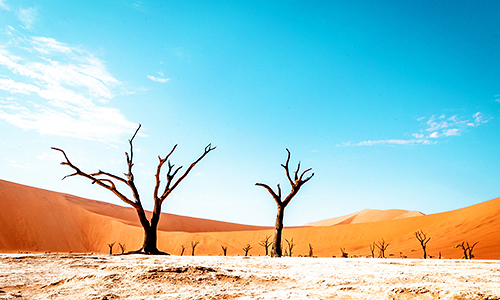 7-Day Namibia Desert, Swakopmund with Etosha National Park Camping