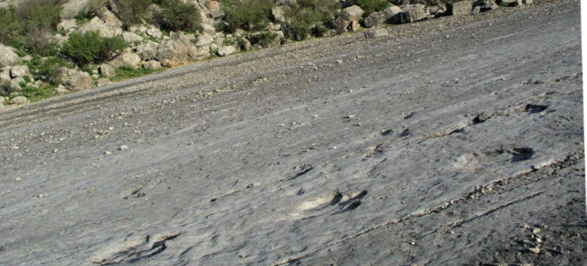 10-Day Along the Dinosaurs' Tracks