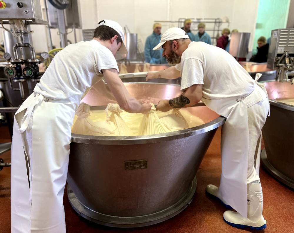 Parmigiano Reggiano Factory, Acetaia Malagoli Daniele & Lambrusco Winery