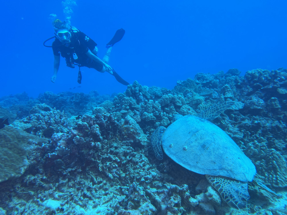 Dive Oahu