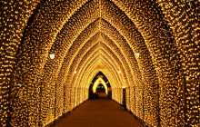 OURWAY Tours Stockholm16