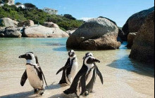 Cape Archives Tours and Safaris17