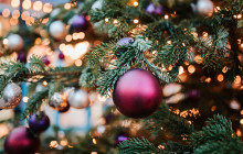 OURWAY Tours Stockholm14