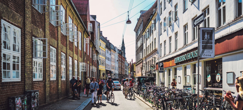 Copenhagen & Rosenborg Castle Private Walking Tour