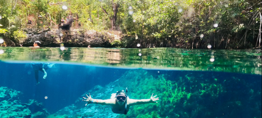 Private Half-Day Tour: Cenotes Express From Riviera Maya