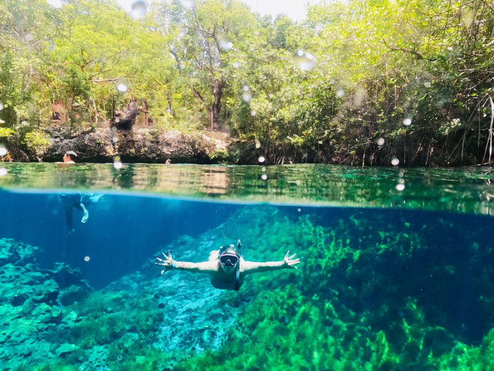 Private Half-Day Tour: Cenotes Express From Riviera Maya