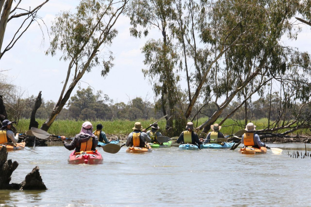 Guided Kayaking Tour & Tasting