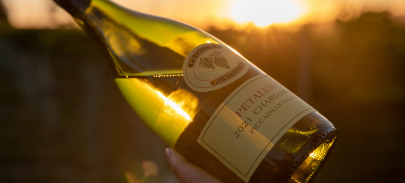 Cool Expressions Of Chardonnay & Seasonal Platter Package