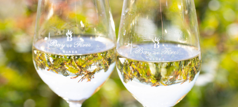 Cool Expressions Of Chardonnay & Seasonal Platter Package
