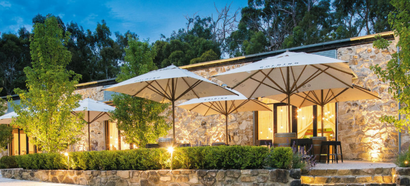 Effervescence - A Sparkling Experience