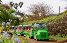 Polynesian Adventure10