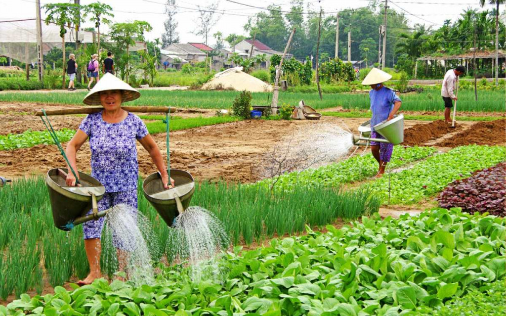 Private Tour To Tra Que Village Cooking Class From Chan May Port