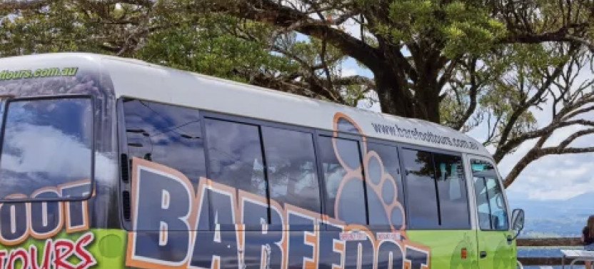 Cairns Explorer Tour: Waterfall & Rainforest Tour
