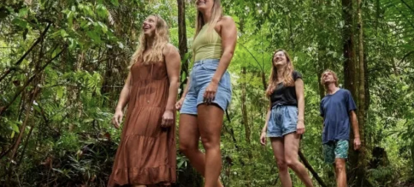 Cairns Explorer Tour: Waterfall & Rainforest Tour