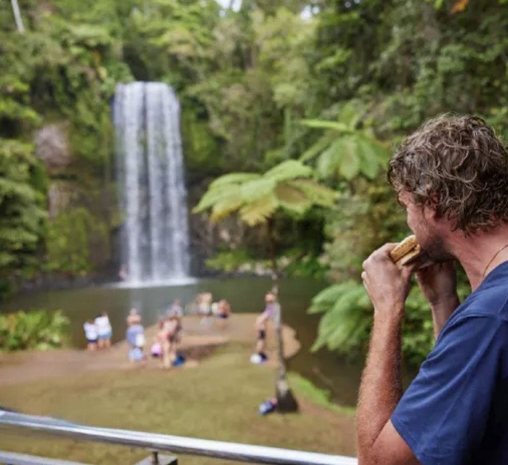 Cairns Explorer Tour