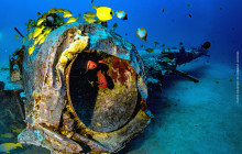 Atlantis Adventures5
