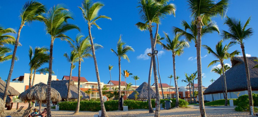 Private Punta Cana Airport (PUJ) One-Way Transfer to Uvero Alto Area